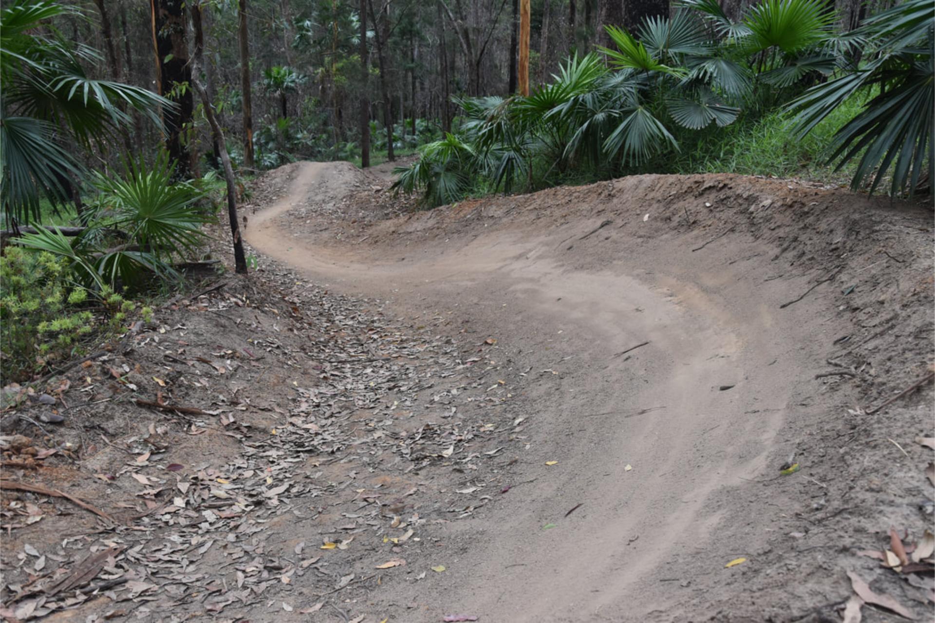 Sunshine Coast Bike Riding Programs - Guided Cycling Tours